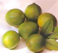   (lime)     .     ,      .           .